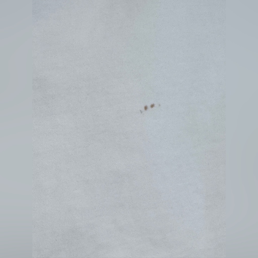 Endless Rose Beaded “LOVED” White T-Shirt Small New - Picture 3 of 13